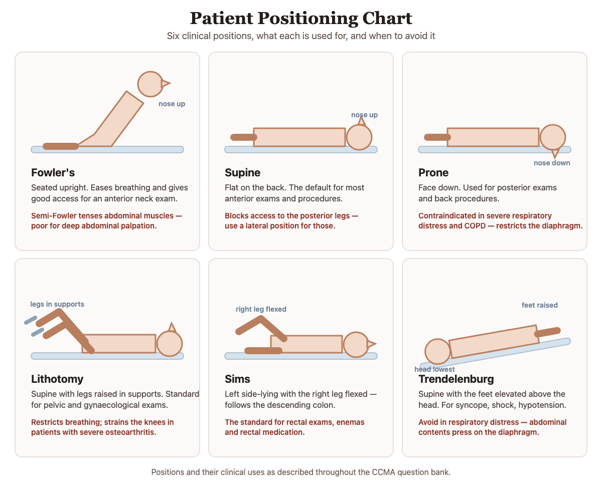 Patient positioning chart showing six clinical positions in side view: Fowler's seated upright, supine flat on the back, prone face down, lithotomy with legs raised in supports, Sims left side-lying with the right leg flexed, and Trendelenburg with the feet elevated above the head